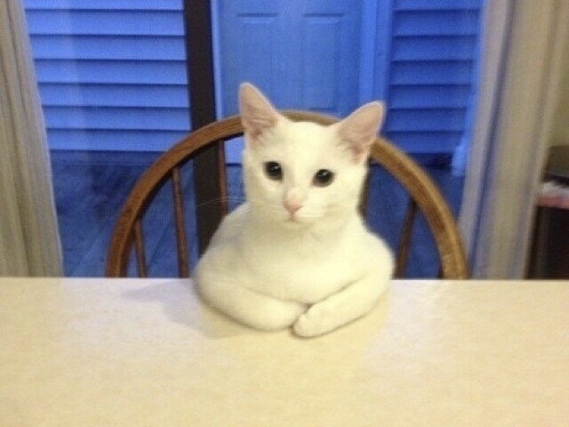 attached to post