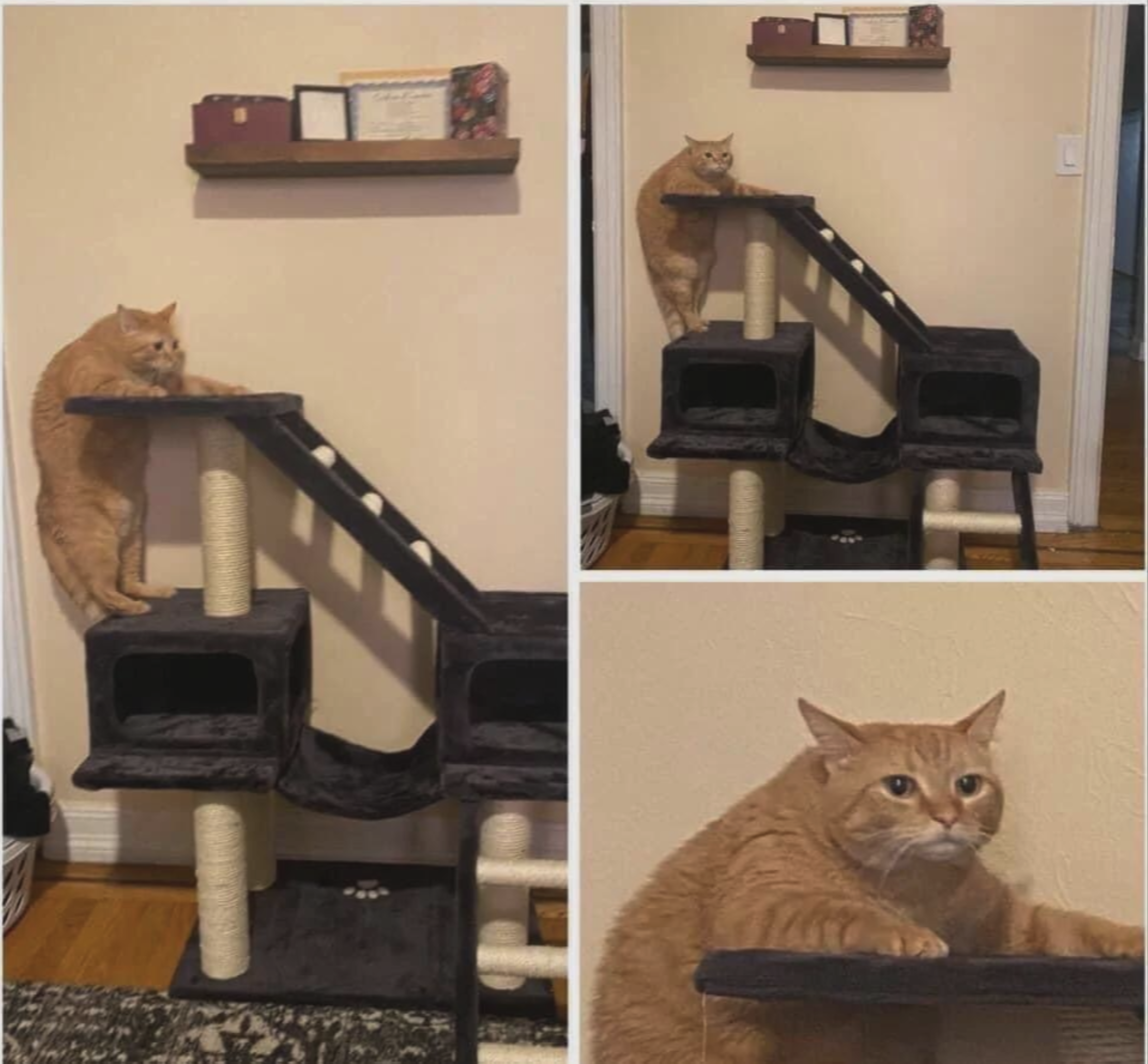 attached to post