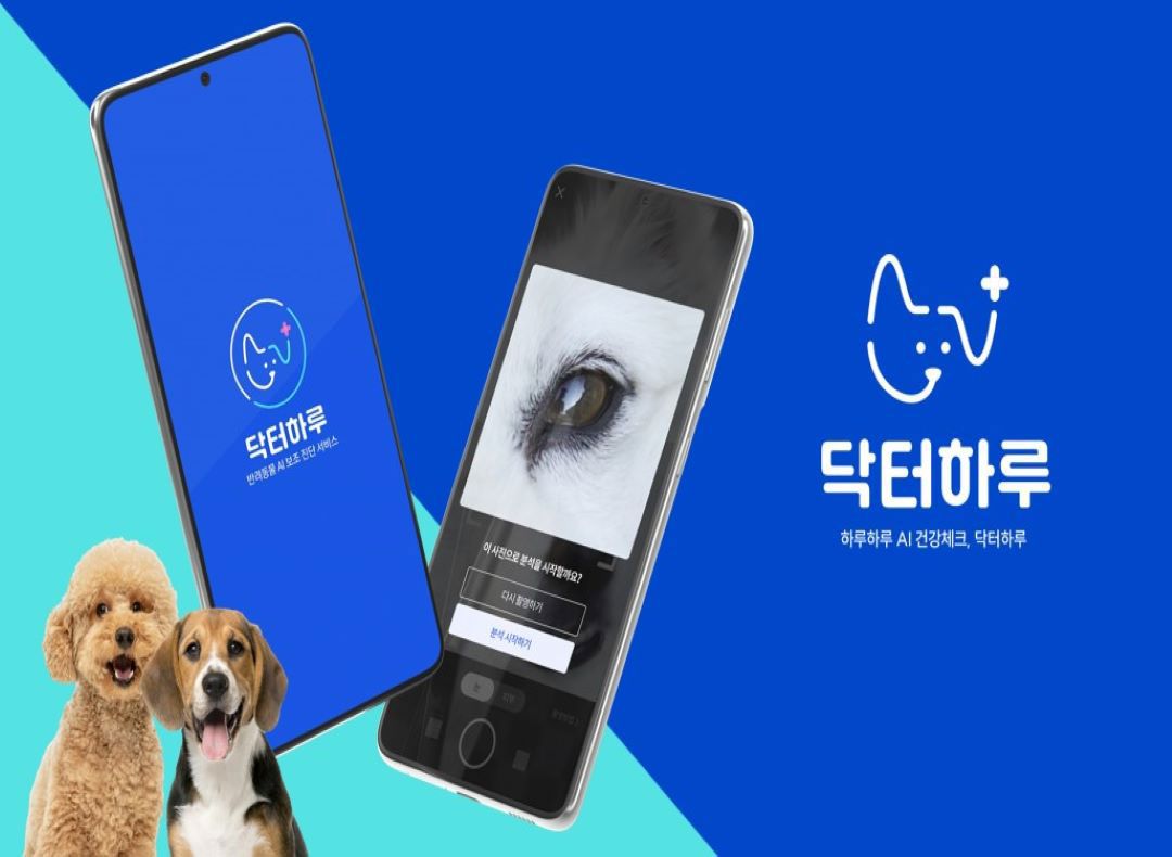 초록테크(닥터하루) 기업정보 - 채용 0건, 평균연봉 4,578만원, 인원 3명, 업력 4년, 서울 용산구 | 원티드