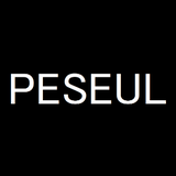 페슬(PESEUL)